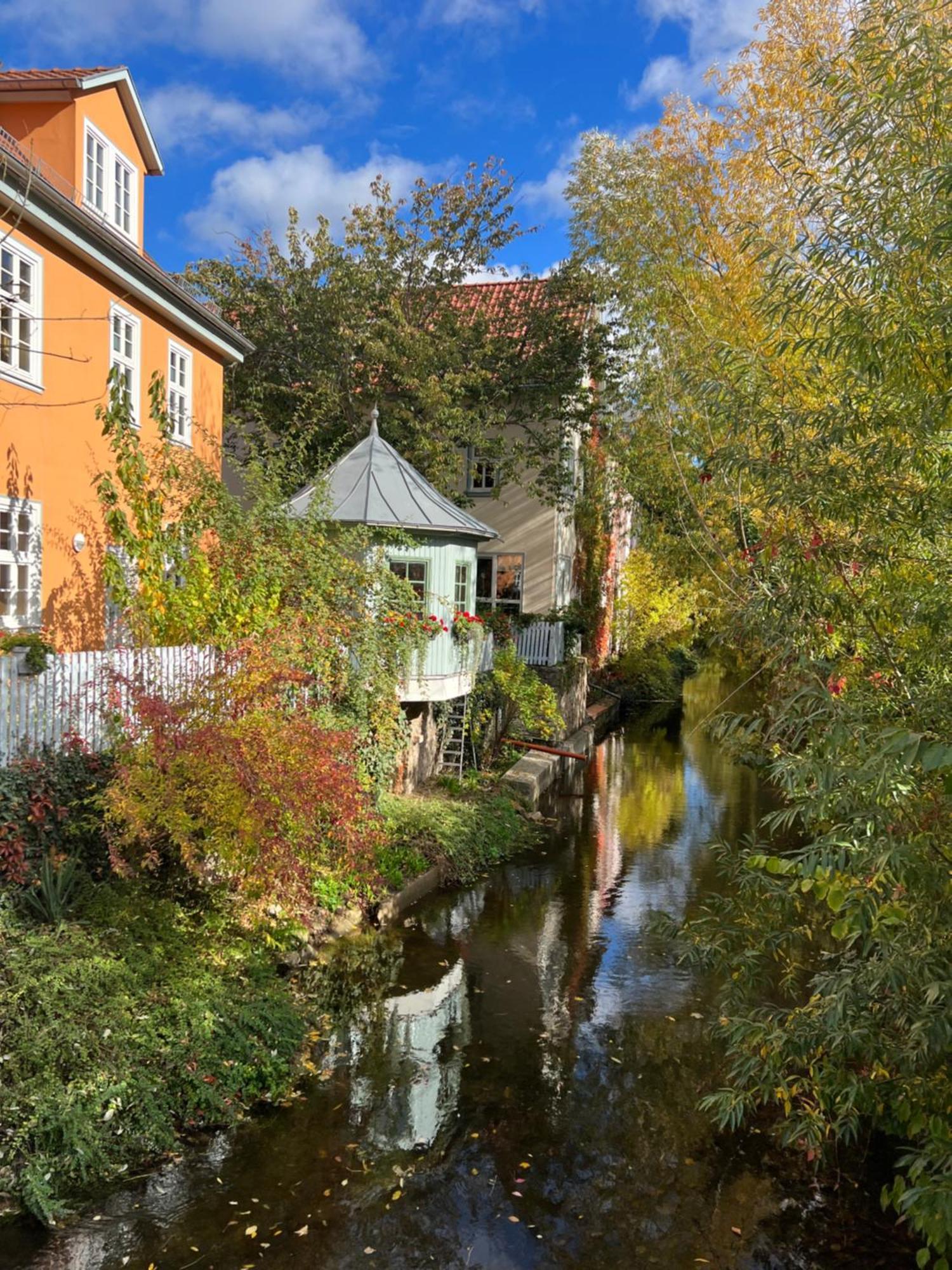 Ferienwohnung Schildblick Modernes Apartment Direkt In Der Altstadt Von Erfurt Nahe Der Kraemerbruecke - Beste Innenstadtlage Exterior photo
